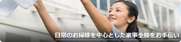 日常のお掃除を中心とした家事全般をお手伝い