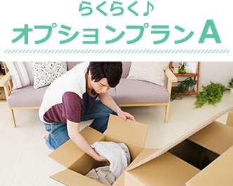 らくらく♪オプションプランA